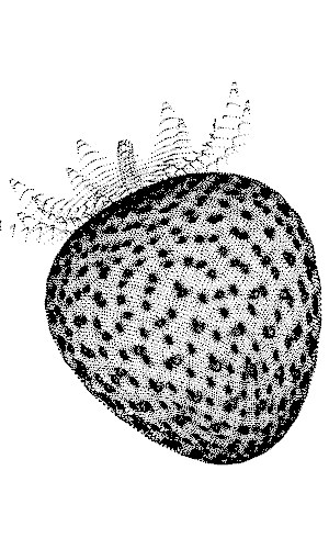 ../_images/6a7cbca4cd4c641535dd6630137e52d0f5d91e7164c66d649d10d975bd2889ef.png